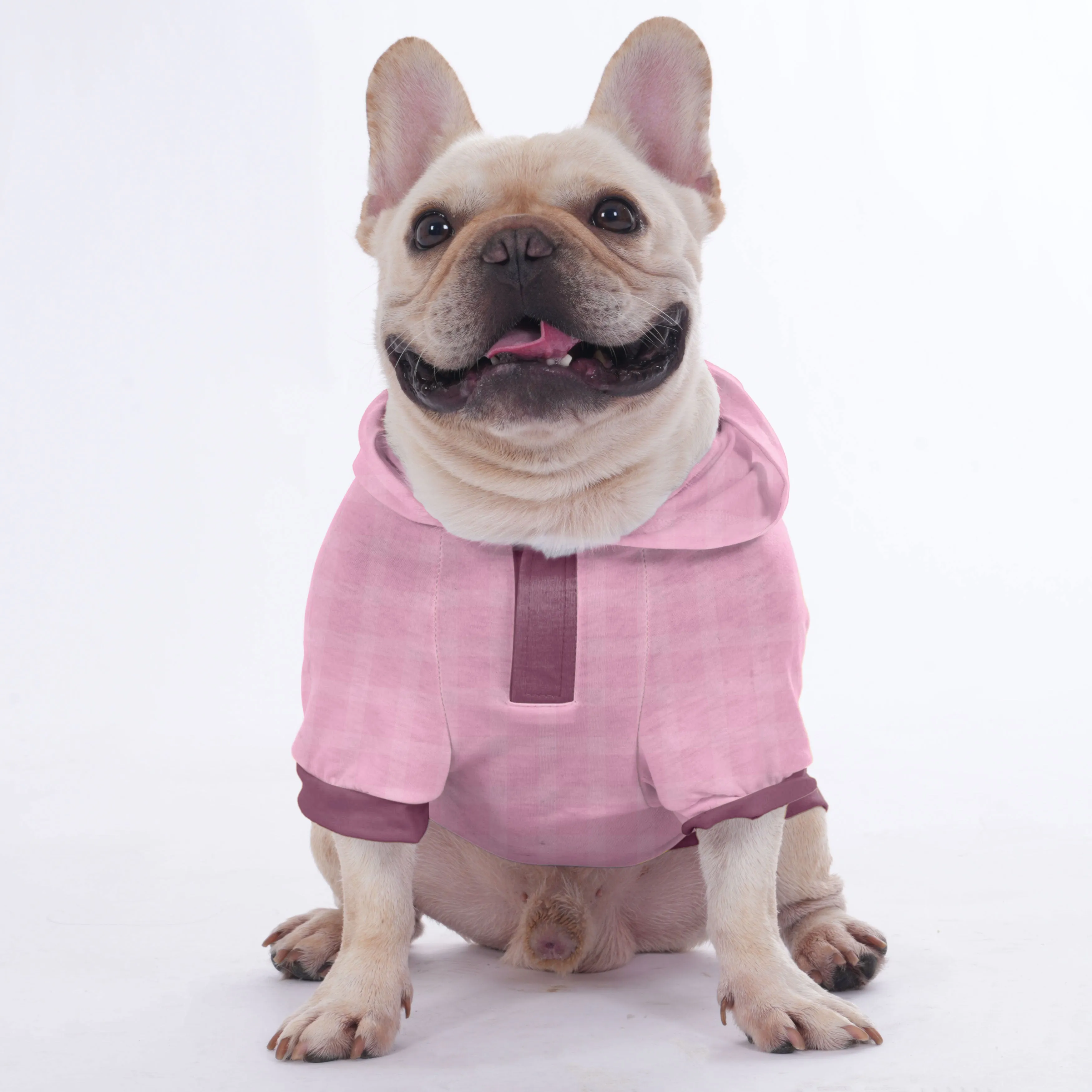 Ames - Hoodies for French Bulldog  | Frenchie Shop Original